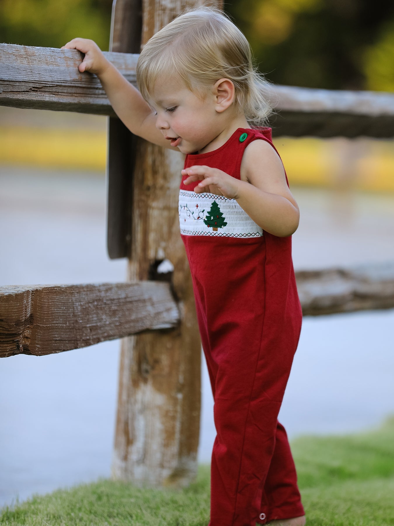 Christmas Tree Dog Smocking Embroidered Baby Boys Romper